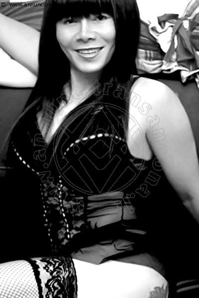 Foto Trans Giessen Honey